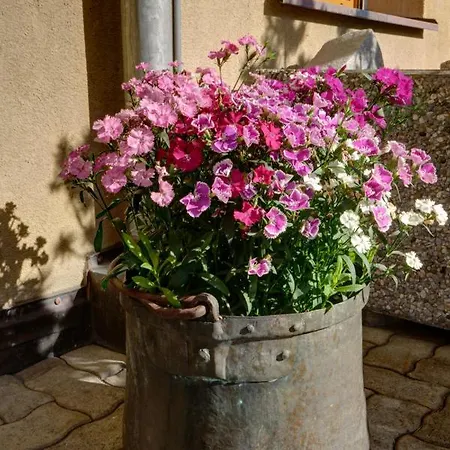 アパート Chesa Munteratsch 2-zimmerwohnung 610 Typ E