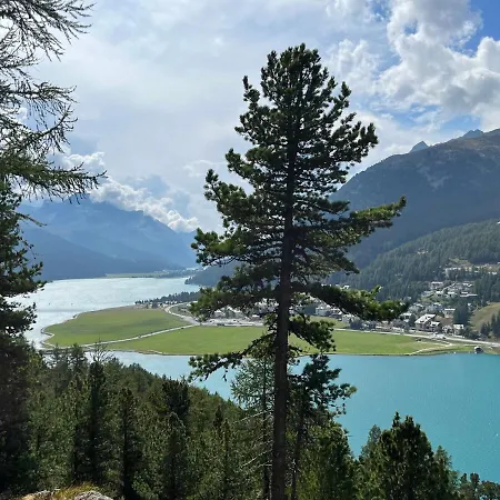 Chesa Munteratsch 2-zimmerwohnung 610 Typ E Silvaplana