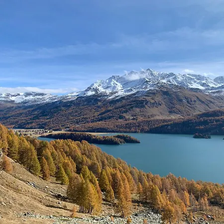 Appartement Chesa Munteratsch 2-zimmerwohnung 610 Typ E Silvaplana