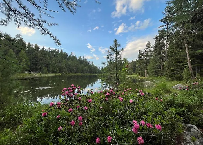 Apartman Chesa Munteratsch 2-zimmerwohnung 610 Typ E Silvaplana