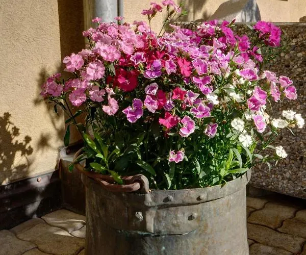 Apartman Chesa Munteratsch 2-zimmerwohnung 610 Typ E