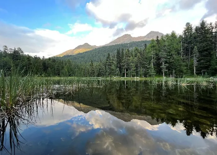 Apartman Chesa Munteratsch 2-zimmerwohnung 610 Typ E