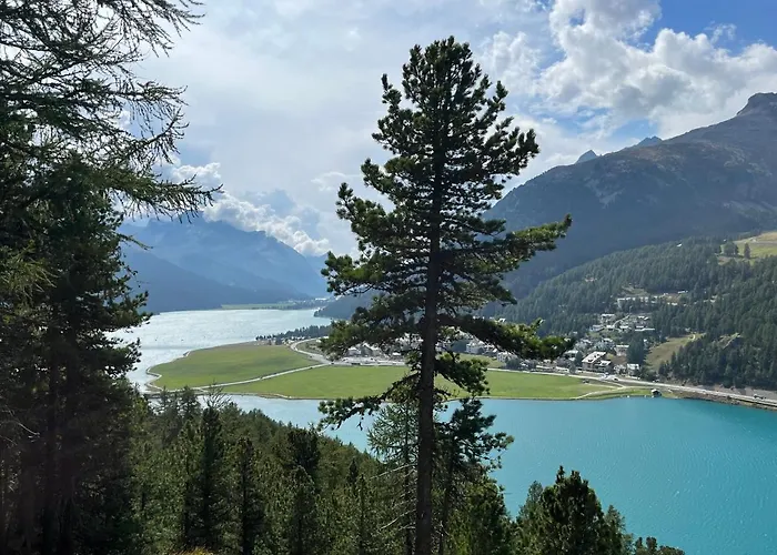 Chesa Munteratsch 2-zimmerwohnung 610 Typ E Silvaplana